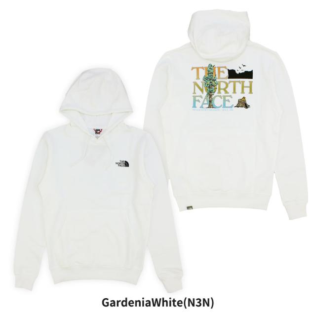 ザ・ノース フェイス THE NORTH FACE MenS/Seasonal Graphic Hoodie プルオーバーパーカー スウェット 男性 メンズ nf0a7x1p_7