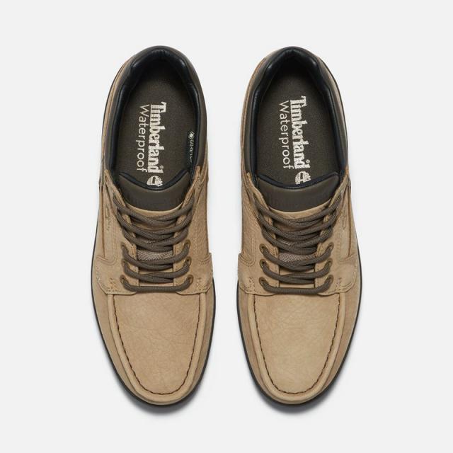 ティンバーランドメンズ トレッキング シューズ Timberland メンズ