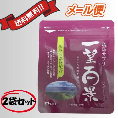 マイケア 一望百景 340mg×30粒  2個セット