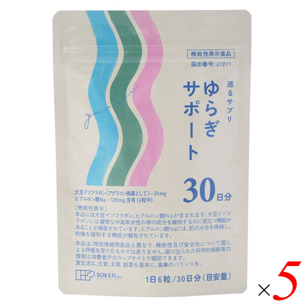 ◉ミナト医科学 マックスカイネ用 消耗品セット 未使用品 計7点 ◉ミナト医科学 マックスカイネ用 消耗品セット 未使用品 計7点 【公式