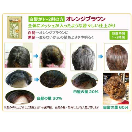 ヘアカラー ヘアマニキュア ヘナ グリーンノートヘナ オレンジブラウン 100g 3個セットの通販はau Pay マーケット メキキング