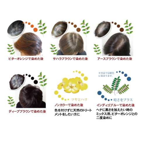 ヘアカラー ヘアマニキュア ヘナ グリーンノートヘナ オーガニータ ブラウン系 100g 全3色 2個セットの通販はau Pay マーケット メキキング