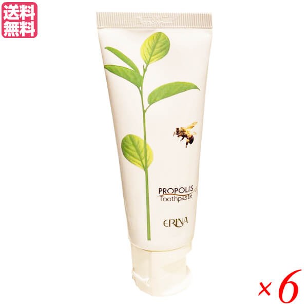エリナ P歯磨き 95g 6本セット プロポリス 歯磨き ハミガキ 送料無料の通販は
