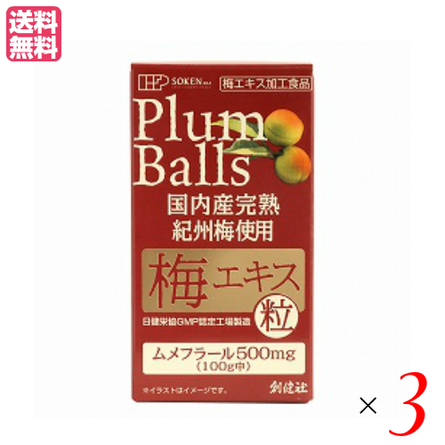 【ポイント最大+11%！】6周年！梅エキス 粒 無添加 創健社 国内産完熟紀州梅使用 梅エキス 粒 90g（約450粒） 3個セット