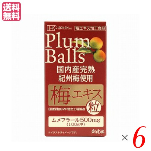 梅エキス 粒 無添加 創健社 国内産完熟紀州梅使用 梅エキス 粒 90g（約450粒） 6個セット