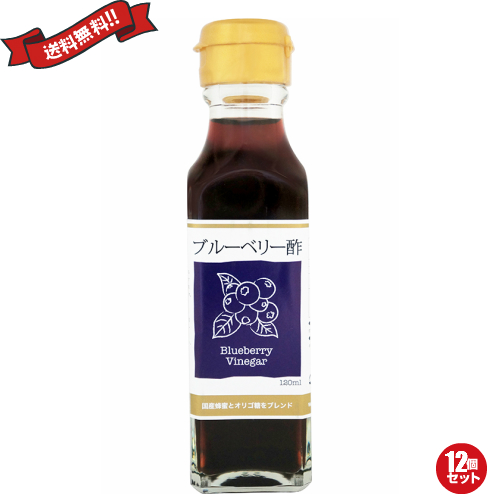 お酢 ドリンク 飲む ブルーベリー酢 120ml TAC21 12個セット