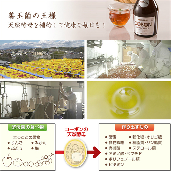 当店ポイント5%+日曜+5%】酵素ドリンク ファスティング 無添加 第一