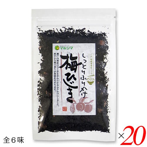 ふりかけ 無添加 ギフト マルシマ しっとりふりかけ 40g 全６種 ２０袋セットの通販は