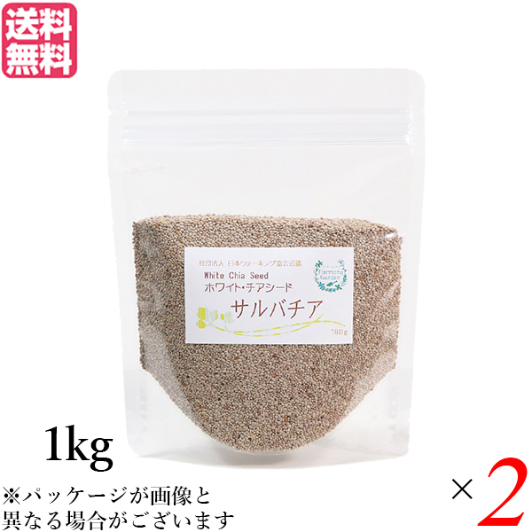 値下げ】WCI 新リンパ 長命整体 インプラント骨格矯正装置 【公式通販】