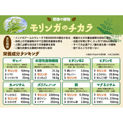 モリンガ 粉末 パウダー Free Our Soul モリンガのチカラ パウダー 30g 6個セット 送料無料_3
