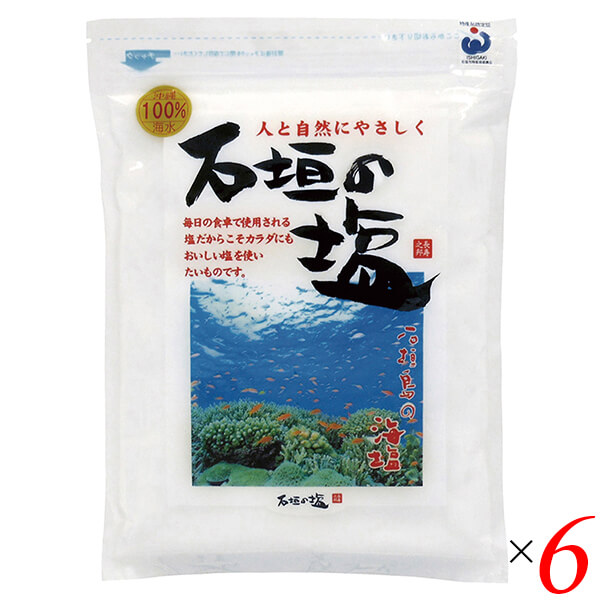 【尖んがり最高限度+11%！】6周年！塩 石垣島 海塩 石垣の塩 500g 6個仕かける