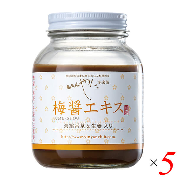 【当店最大16%+日曜5%】〜6/15(月)9:59！梅梅醤エキス 濃縮番茶＆生姜入り 250g 5個セット いんやん倶楽部