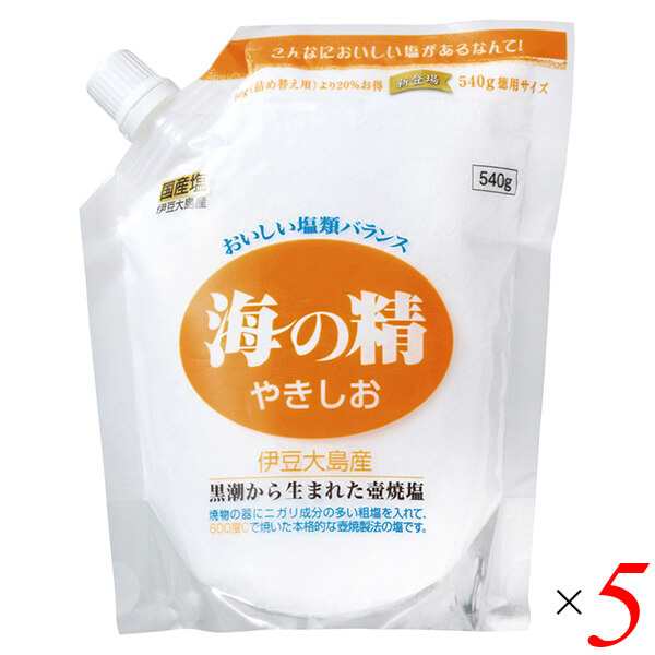 塩 天然塩 天日 海の精 やきしお（スタンドパック）540g 5個セット 送料無料