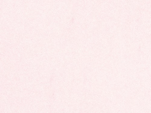 【特注品】LOHAS Material EM珪藻土フラット EF-34 珊瑚（さんご） （10kg）※代引き・キャンセル・日時指定不可