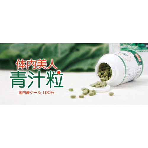 体内美人 青汁粒（1000粒×2袋）【スカイ・フード】※ゆうパケット送料無料 ※代引き不可_2