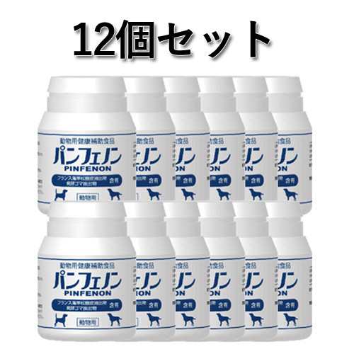 パンフェノン 16.8g（140mg×120粒）×12個セット