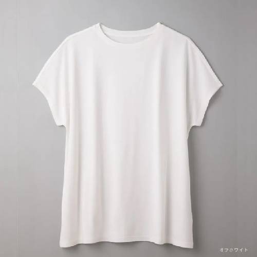 【竹布特典】ショートスリーブTシャツ オフホワイト M〜L 【ナファ生活研究所】の通販は