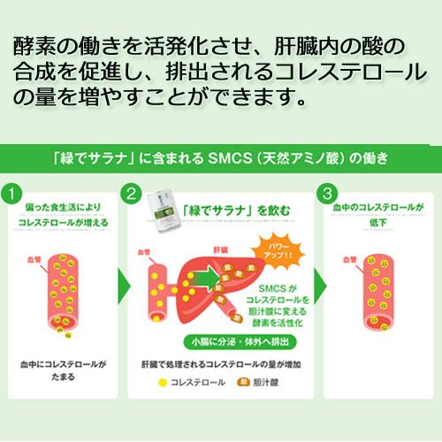 緑でサラナ 160g×60缶 ※全国送料無料【あす着対応】※同梱・キャンセル・ラッピング不可_4