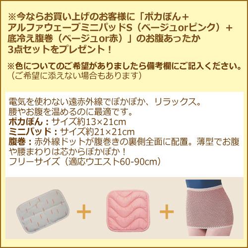【5,000円相当の冷え対策特典付き】【メーカー直送品】夢暖望900型 （YUME900-R24）※同梱・代引・キャンセル不可