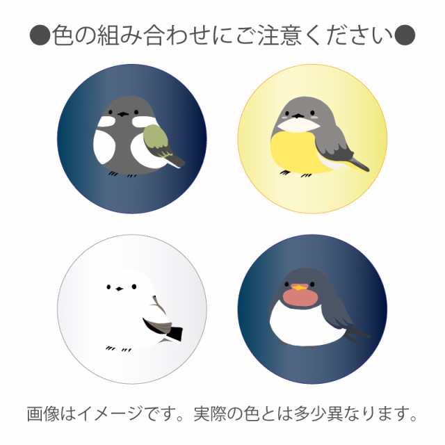 ストア 水筒 文鳥