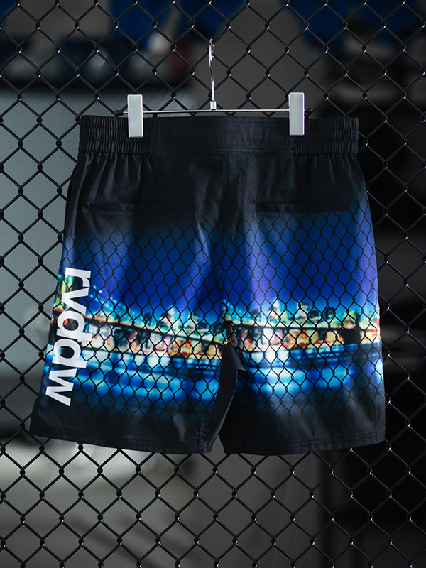 reversal リバーサル パンツ LFYT エルエフワイティー ショーツ メンズ レディ—ス 格闘技 トレーニング ウェア 4WAY STRETCH ファイトショーツ 180度開脚可能 RVLFYT602_10