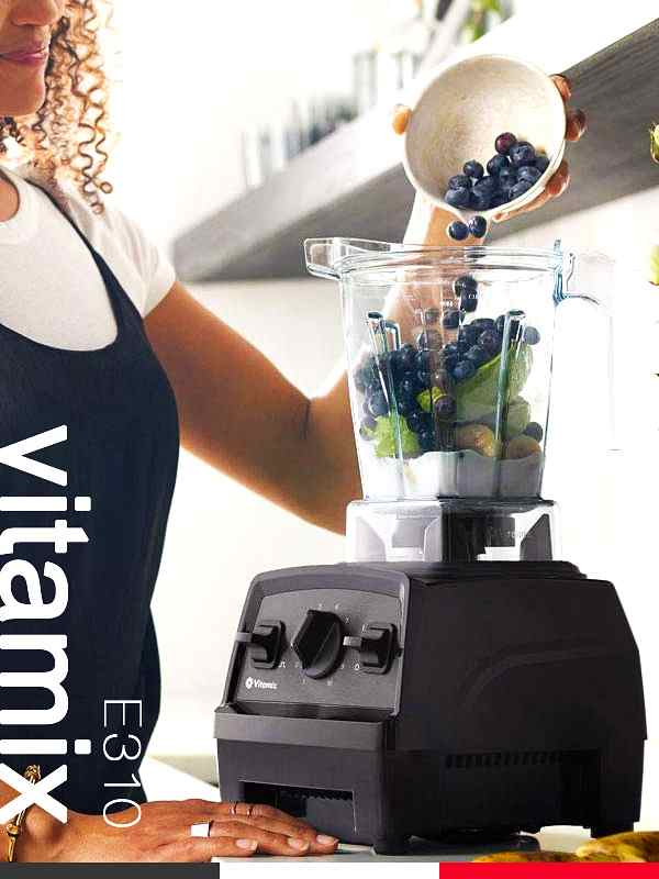 Vitamix バイタミックス E310 ミキサー 氷も砕ける スムージー 洗い 