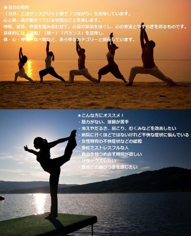 速攻配達 ヨガマット トレーニングマット 170cm 60cm ストレッチマット ピラティス ダイエット 器具 マット エクササイズ 腹筋 の通販はau Pay マーケット 正規品アメカジ専門店 Hype