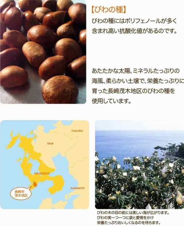 エスエフシー 枇杷種粉末 びわだねふんまつ 100g 長崎産茂木ビワ種100％ 粉末ドリンク 健康食品 ポイント消化 マラソン 買いまわり