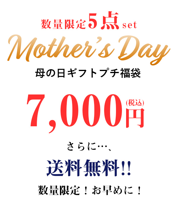 福袋 母の日ギフトプチ福袋 数量限定 送料無料 メール便不可 M L Ll レディース ギフト 贈り物 プレゼント 母の日の通販はau Pay マーケット アンドイット And It