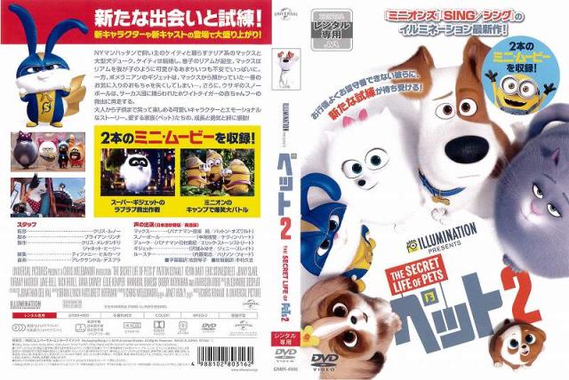 当店限定販売 ペット2 Dvd Abamedyc Com 当店限定販売 ペット2 Dvd Abamedyc Com