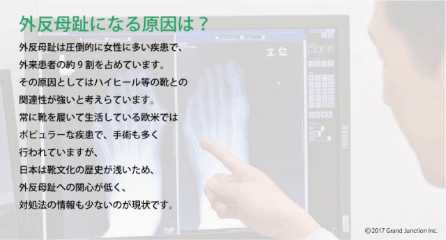 Lafeet］足袋 スニーカー シューズ 足袋靴 ウォーキングシューズ