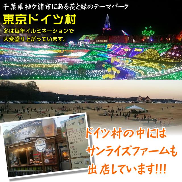 肉巻きおにぎり10本セット 送料無料 ドイツ村で大人気 ポークライス 冷凍食品 惣菜 夜食 お弁当 豚肉 国内製造 手作り バーベキュー q の通販はau Pay マーケット サンライズファーム 農場直送 Au Pay マーケット店