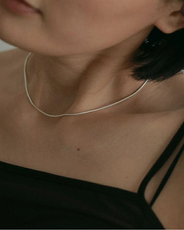 【即納】anuke アンヌーク anuke　Snake Chain Necklace スネイクチェーンネックレス アクセサリー 62510906 船曳ひろみ【2025】【SS】【2025春夏】【2025SS】【入荷】
