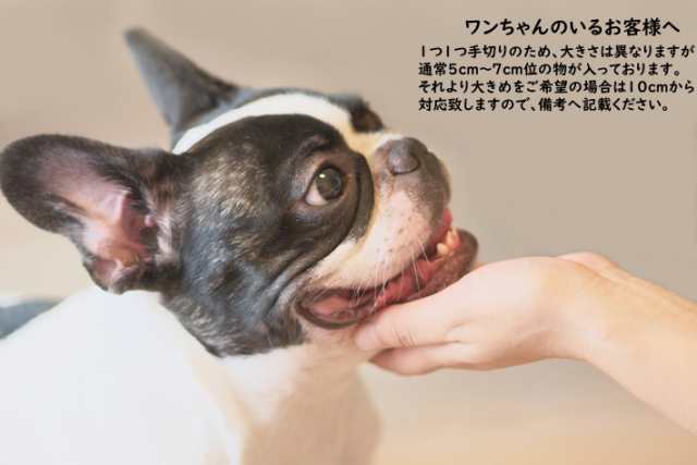 送料無料 黒毛和牛牛骨約５kg 牛骨 カット済 ボーンスープ 犬のおやつ まとめ買い8 オフ 栃木県より直送 の通販はau Pay マーケット 俺達の晩餐