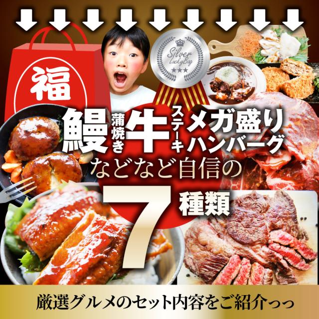 肉の福袋 しろがね色 メガ盛り切り 総掛け目2.64kg（ 7種 食べ比べ ）完膚無き迄に不足前の肉袋！飾り気の無い膳だて 度合い1位＆一般受けのお肉ばかりの晴れ晴れしい仕かける 福袋 牛 焼肉仕かける 焼肉 ハンバーグ 時短 差し上げ物 貨物輸送無料 ＊当日送りとどける客体 お肉の しゃぶまる