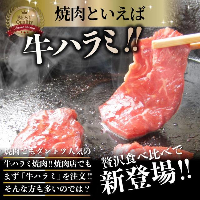 ハラミ 食べ比べ 牛肉 豚肉 焼肉 5kg （250g×20P） メガ盛り 赤身 はらみ バーベ キュー 美味しい ギフト プレゼント 食品 プレゼント 女性 男 性 お祝い あす楽_3