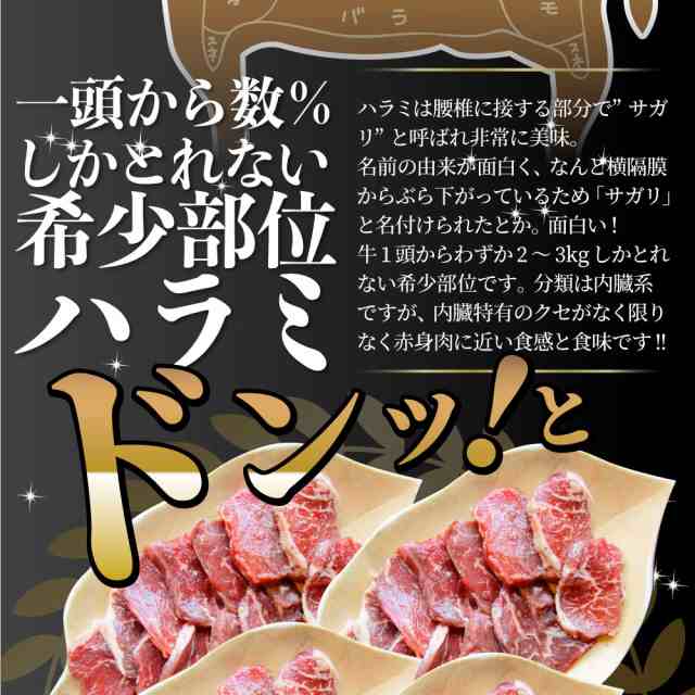 牛ハラミ焼肉（タレ漬け）1kg（250g×4） バーベキュー BBQ 肉 タレ 秘伝 焼肉 やきにく ハラミ アウトドア お家焼肉 レジャー  送料無料の通販はau PAY マーケット - お肉のしゃぶまる