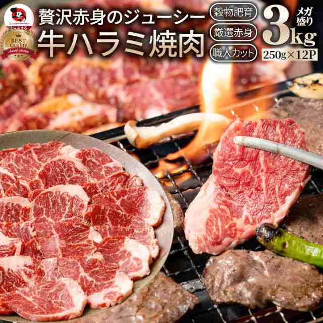 牛 ハラミ 焼肉 3kg（250g×12P）牛肉 メガ盛り バーベキュー BBQ  肉用 当日発送 美味しい ホットプレート 焼肉 お徳用 お土産 メガ盛り お誕生日 お祝い 赤身 はらみ 3ｋｇ プレゼント オードブル パーティー big_dr tou お肉の しゃぶまる agesugi_sguの通販は