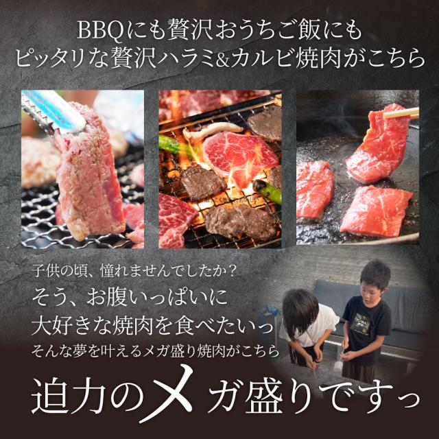 タレ漬け 牛ハラミ ＆ 国産牛入り カルビ 焼肉セット 10kg 肉 牛肉 タレ 赤身 はらみ かるび 秘伝 焼肉セット 焼肉 ランキング1位 やきにく ハラミ アウトドア お家焼肉 レジャー 送料無料 バーベキュー 肉 食材 セット キャンプ キャンプ飯 お肉の しゃぶまる_6