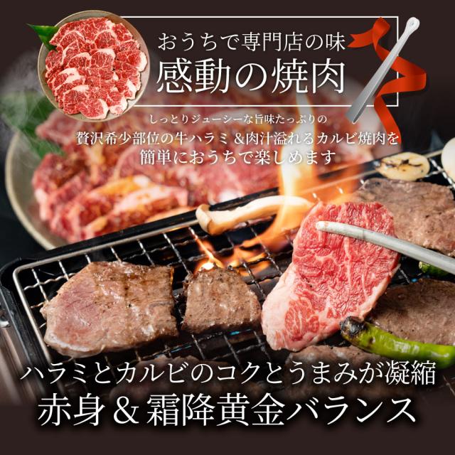 タレ漬け 牛ハラミ ＆ 国産牛入り カルビ 焼肉セット 10kg 肉 牛肉 タレ 赤身 はらみ かるび 秘伝 焼肉セット 焼肉 ランキング1位 やきにく ハラミ アウトドア お家焼肉 レジャー 送料無料 バーベキュー 肉 食材 セット キャンプ キャンプ飯 お肉の しゃぶまる_7