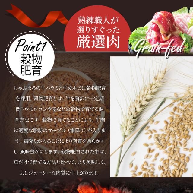 タレ漬け 牛ハラミ ＆ 国産牛入り カルビ 焼肉セット 10kg 肉 牛肉 タレ 赤身 はらみ かるび 秘伝 焼肉セット 焼肉 ランキング1位 やきにく ハラミ アウトドア お家焼肉 レジャー 送料無料 バーベキュー 肉 食材 セット キャンプ キャンプ飯 お肉の しゃぶまる_9