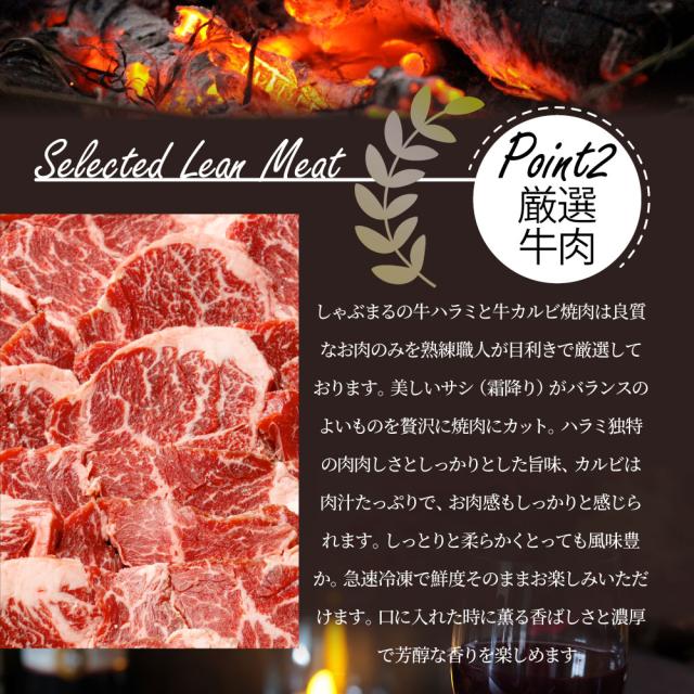 タレ漬け 牛ハラミ ＆ 国産牛入り カルビ 焼肉セット 10kg 肉 牛肉 タレ 赤身 はらみ かるび 秘伝 焼肉セット 焼肉 ランキング1位 やきにく ハラミ アウトドア お家焼肉 レジャー 送料無料 バーベキュー 肉 食材 セット キャンプ キャンプ飯 お肉の しゃぶまる_10