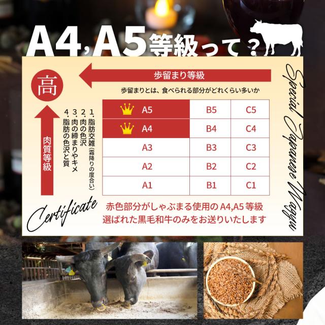肉 牛肉 真空密封 A4.A5等級 黒毛和牛 ヒレステーキ 130g×2枚 ソース付 化粧箱入り ステーキ肉 ヒレ肉 ひれ ギフト プレゼント バーベキュー BBQ 肉 通販 お取り寄せ グルメ 食べ物 食品 女性 男性 人気 お祝い プレゼント 誕生日 黒毛 和牛 冷凍 送料無料_11