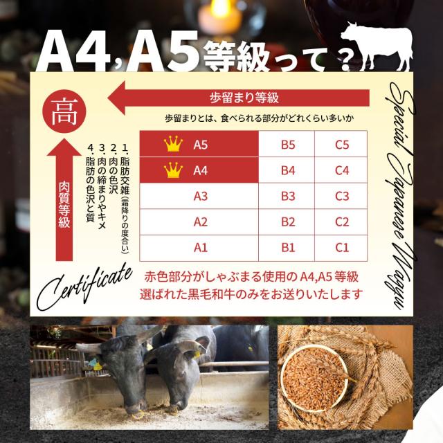 A4,A5位置づける 特選 黒毛和牛 カルビ 焼肉 750g（250g×3）今だけ焼肉のタレ付き添い人 【 牛 牛 焼肉 丸焼き BBQ カルビ 国産 肉 差し上げ物 差し上げ物 食物 食料雑貨類 差し上げ物 御上さん 成人男性 一般受け 御祝い A5カテゴリー化 A4カテゴリー化 アウトドア 住み家焼肉 お肉の しゃぶまる