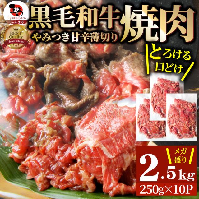 黒毛和牛 切り落とし 牛肉 焼肉 霜降り2.5kg（250g×10）和牛 肉 ギフト プレゼント 食品 お祝い  タレ漬け 送料無料 贈り物 贈答 祝い プレゼント お肉の しゃぶまる
