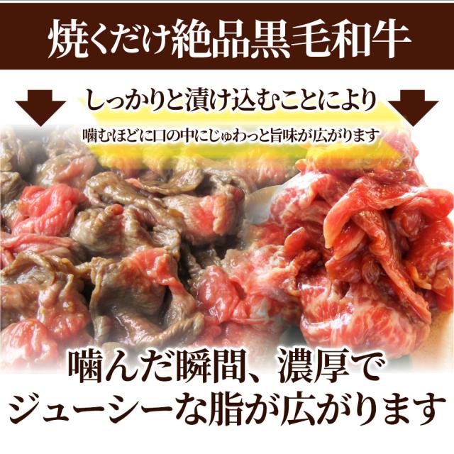 黒毛和牛 切り落とし 牛肉 焼肉 霜降り2.5kg（250g×10）和牛 肉 ギフト プレゼント 食品 お祝い  タレ漬け 送料無料 贈り物 贈答 祝い プレゼント お肉の しゃぶまる_10