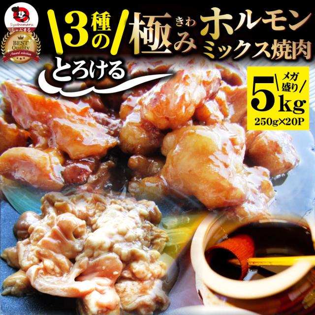 三種 ホルモン ミックス 焼肉 5kg（250ｇ×20パック）秘伝 タレ漬け バーベキュー BBQ  肉 焼くだけ 冷凍 キャンプ キャンプ飯 ＊当日発送対象 お肉の しゃぶまる