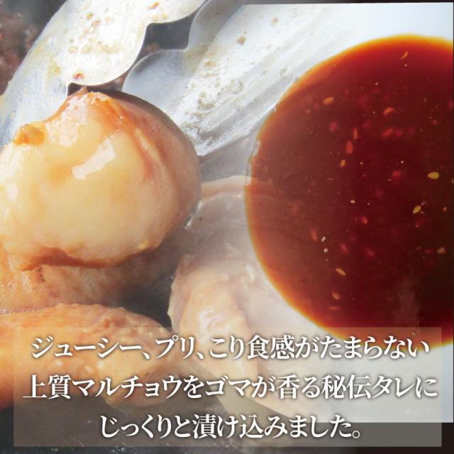 牛タレ漬けホルモン（マルチョウ） 5kg（200g×25袋） 焼肉用 焼くだけ バーベキュー BBQ  肉 タレ 秘伝 焼肉 やきにく アウトドア お家焼肉 レジャー 冷凍 送料無料 キャンプ キャンプ飯 ＊当日発送対象 お肉の しゃぶまる_5