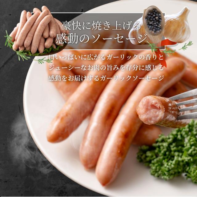 ガーリック薫る ジューシー 粗挽き ウインナー ソーセージ 10kg(200g×50) ソーセージ ウインナーソーセージ 詰合せ 詰め合わせ お取り寄せ 御取り寄せ_5