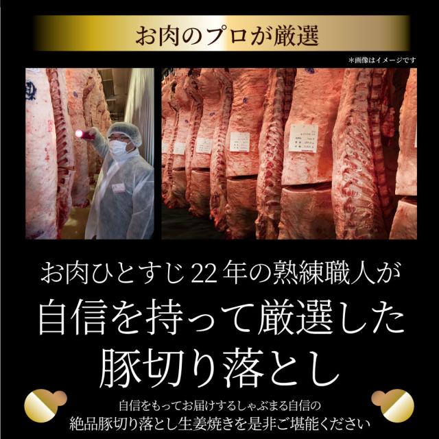 肉 訳あり 豚 生薑焼き 焼くだけ 3kg（250g×12）「生薑王」 ジューシー 入り合わせる 豚 生薑 焼き 切り落とし おかず *当日さし出し お肉の しゃぶまる
